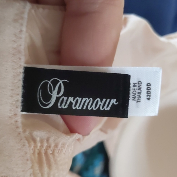 Paramour by Felina Gorgeous beige underwire  Bra 42DDD - Picture 4 of 6